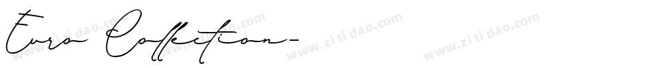 Euro Collection字体转换